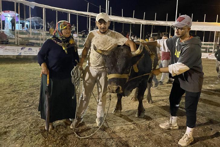 Artvin'de Boğa Güreşleri Türkiye Şampiyonası yapıldı G2