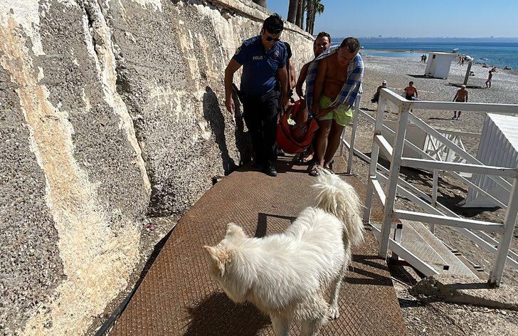 Antalya'da köpeğini kaçırmaya çalışan şüpheli tarafından bıçaklanan kişi yaralandı G2