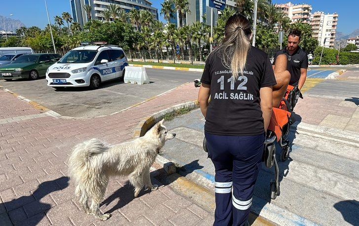 Antalya'da köpeğini kaçırmaya çalışan şüpheli tarafından bıçaklanan kişi yaralandı G4