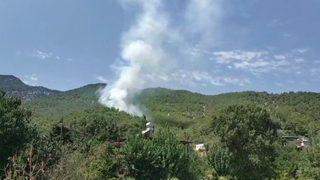 GÜNCELLEME - Hatay'da çıkan orman yangını kontrol altına alındı