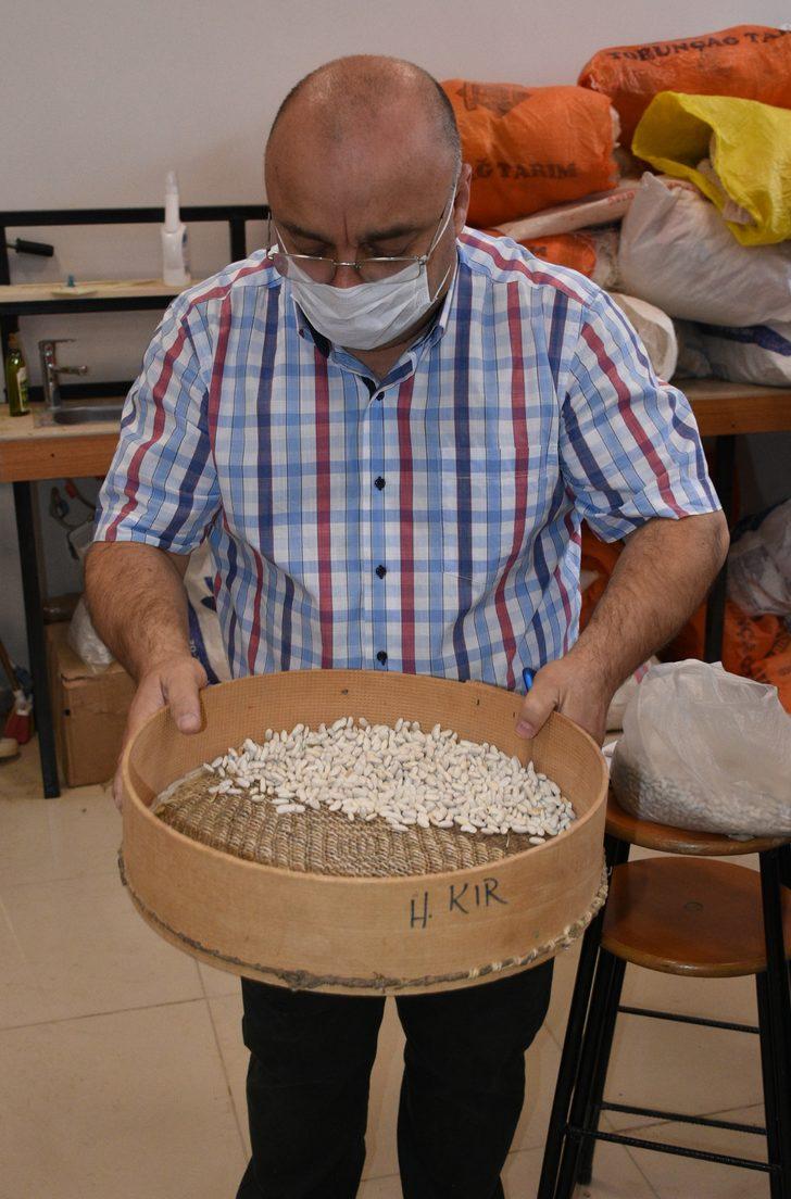 TÜBİTAK desteğiyle verimi yüksek kuru fasulye çeşit adayları belirlendi G3