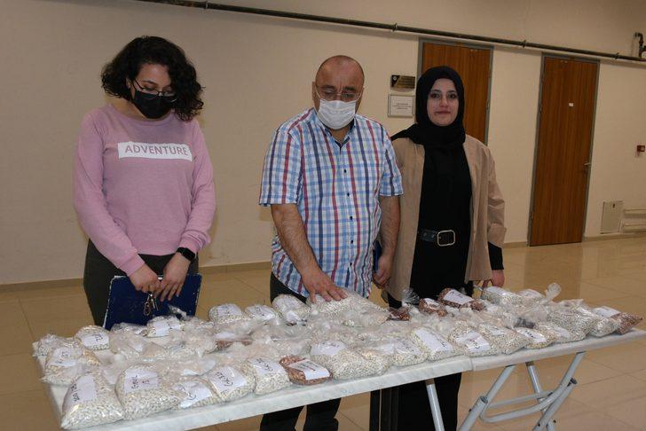 TÜBİTAK desteğiyle verimi yüksek kuru fasulye çeşit adayları belirlendi G4