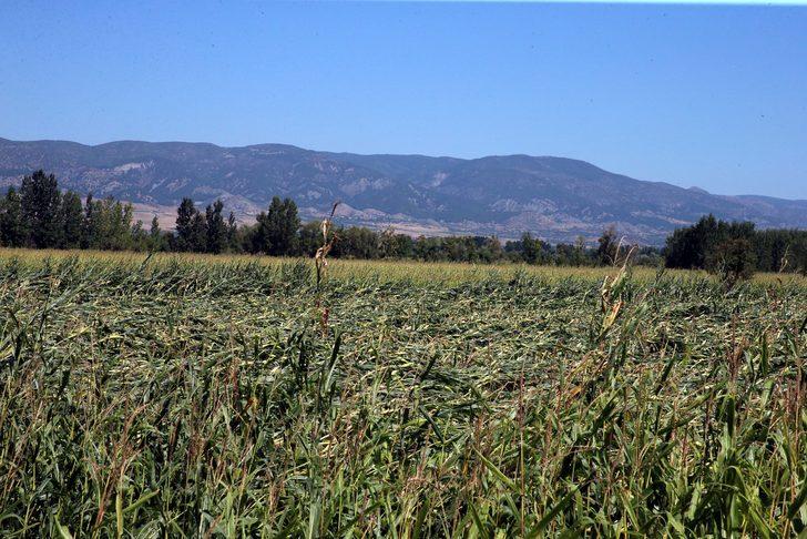 Tokat'ta fırtına, dolu ve sağanak ekili alanlara zarar verdi G2