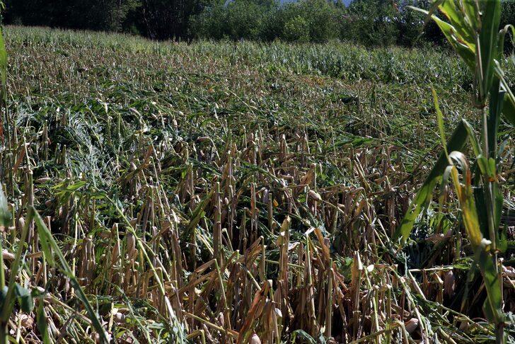 Tokat'ta fırtına, dolu ve sağanak ekili alanlara zarar verdi G3