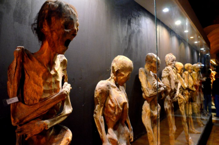 Ölü insanların gerçek bedenleri sergileniyor! Dünyanın en korkunç müzesi: El Museo De Las Momias (Mumya Müzesi) G4