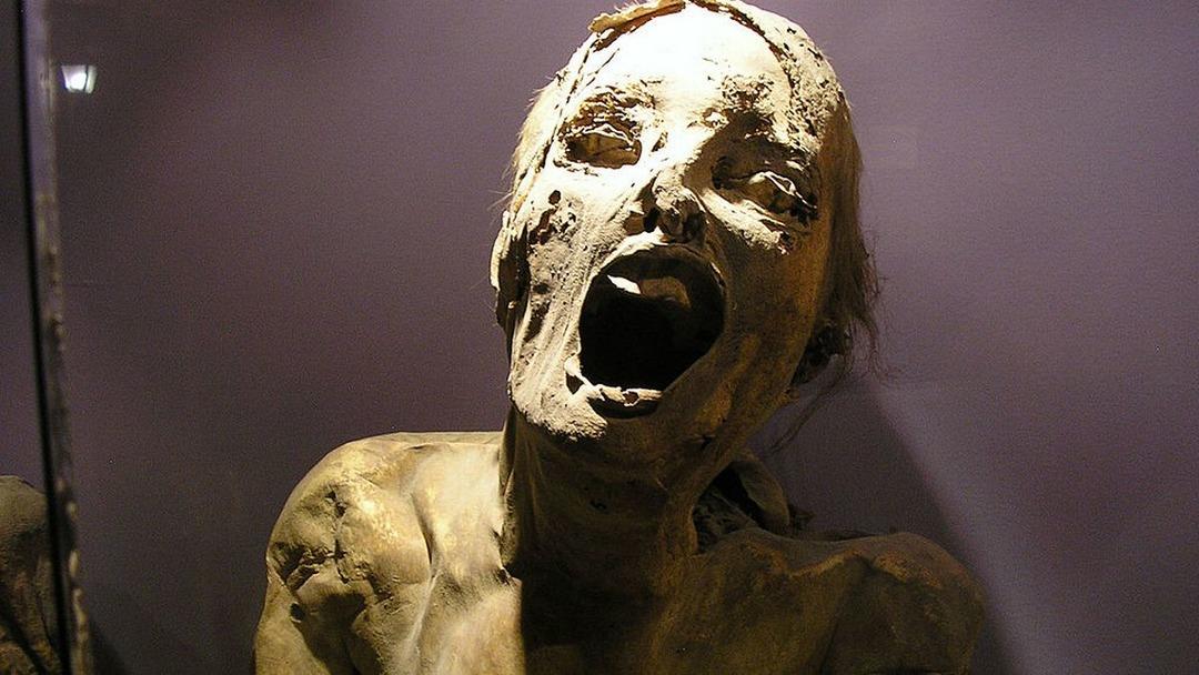 &Ouml;l&uuml; insanların ger&ccedil;ek bedenleri sergileniyor! D&uuml;nyanın en korkun&ccedil; m&uuml;zesi: El Museo De Las Momias (Mumya M&uuml;zesi)