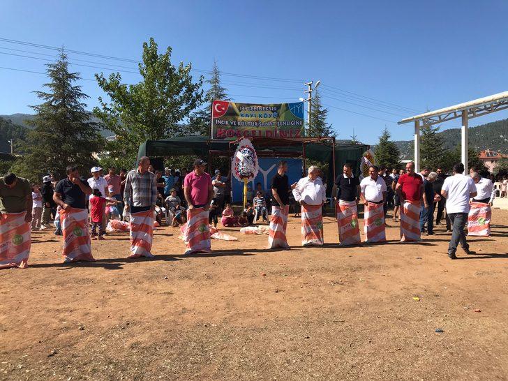 Burdur'da incir ve kültür sanat şenliği düzenlendi G3