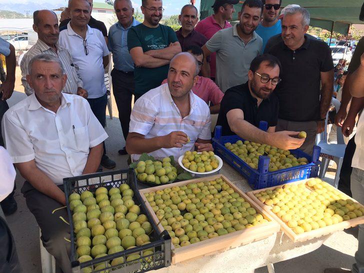 Burdur'da incir ve kültür sanat şenliği düzenlendi G5