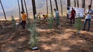 Erciyes Anadolu Holding'in ev tekstili markası Doqu Home'un 16. mağazası Marmaris'te açıldı