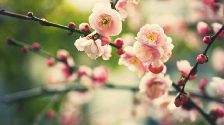 İlkbaharın ilk gününe özel hazırlanan doodle beğeni topladı