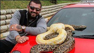 Çerkez Cengiz'in pitonu ve timsahı için harekete geçildi