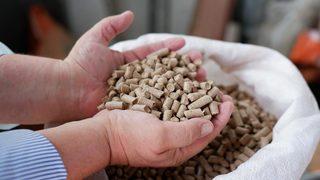 Bulgaristan doğal gaz krizi için çareyi Edirne'de buldu! Tırlar dolusu pelet aldılar