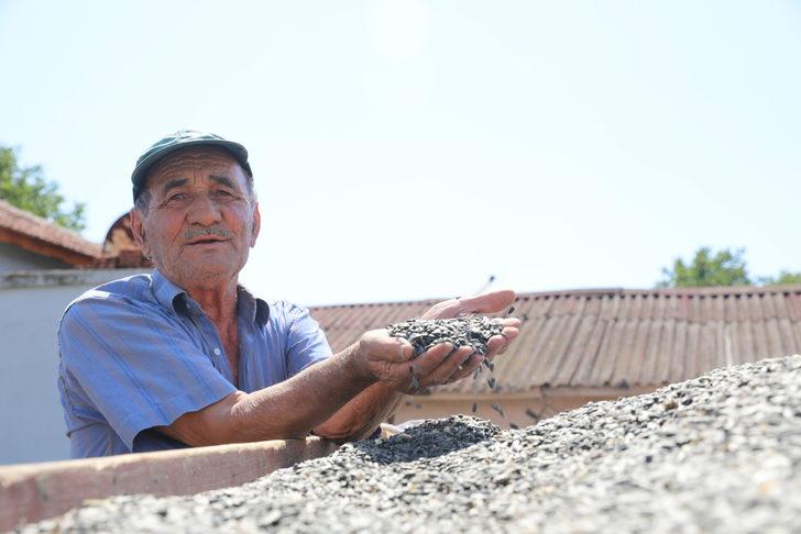 Edirne'de çiftçiler "gün döndü" veriminden memnun G5