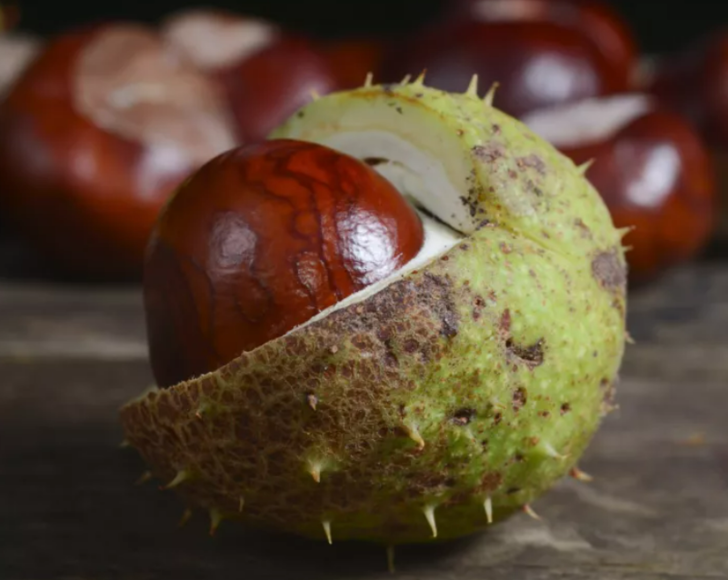 Tüm ağrılarınız son bulacak! Kemik ağrısı için birebir yiyecekler G5