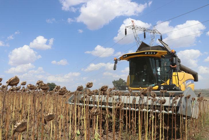 Edirne Valisi Kürşat Kırbıyık, biçerdöverle ayçiçeği hasat etti G2