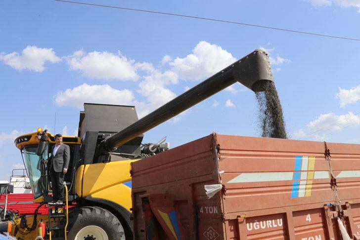 Edirne Valisi Kürşat Kırbıyık, biçerdöverle ayçiçeği hasat etti G3