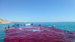 Dalgıçlar Van Gölü'nde Türk bayrağı açtı