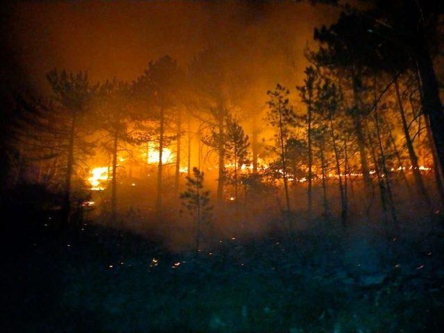 Konya'da ormanlık alanda çıkan yangın söndürüldü