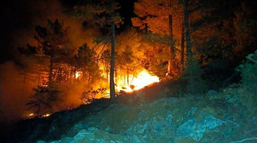 Konya'da ormanlık alanda çıkan yangın söndürüldü