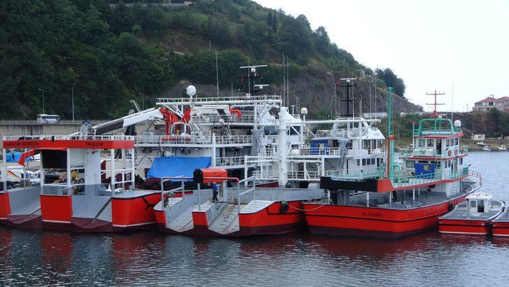 Bu gece yarısı başlıyor! Av yasağı bitiyor, tezgahlar palamut dolacak G2