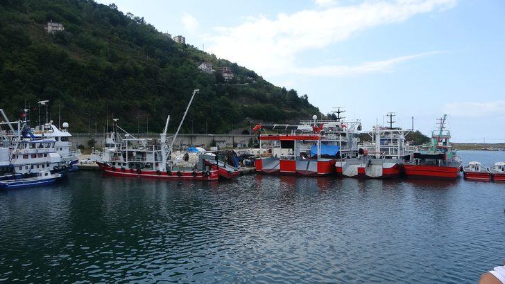 Bu gece yarısı başlıyor! Av yasağı bitiyor, tezgahlar palamut dolacak G3