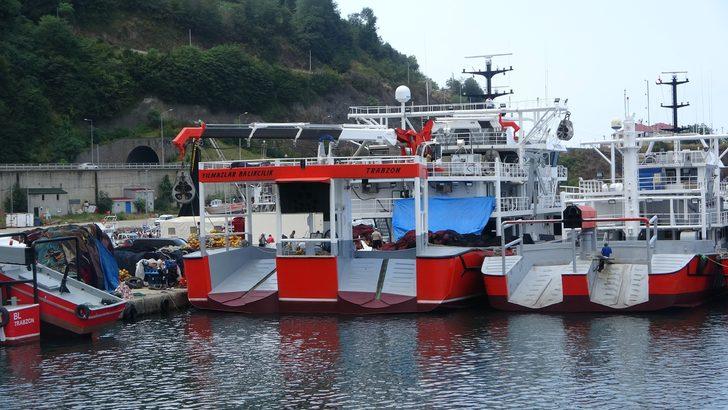 Bu gece yarısı başlıyor! Av yasağı bitiyor, tezgahlar palamut dolacak G4