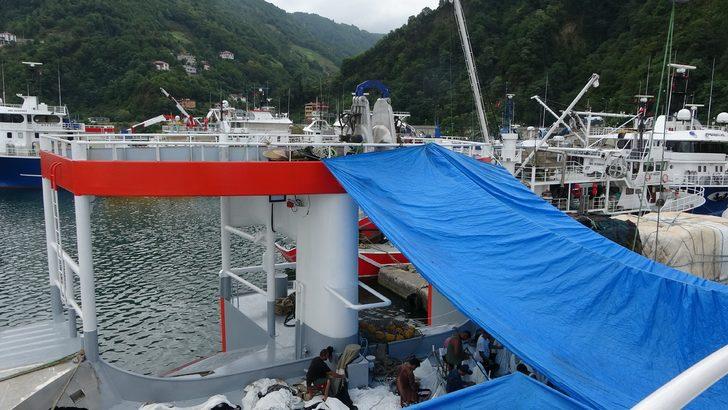 Bu gece yarısı başlıyor! Av yasağı bitiyor, tezgahlar palamut dolacak G5