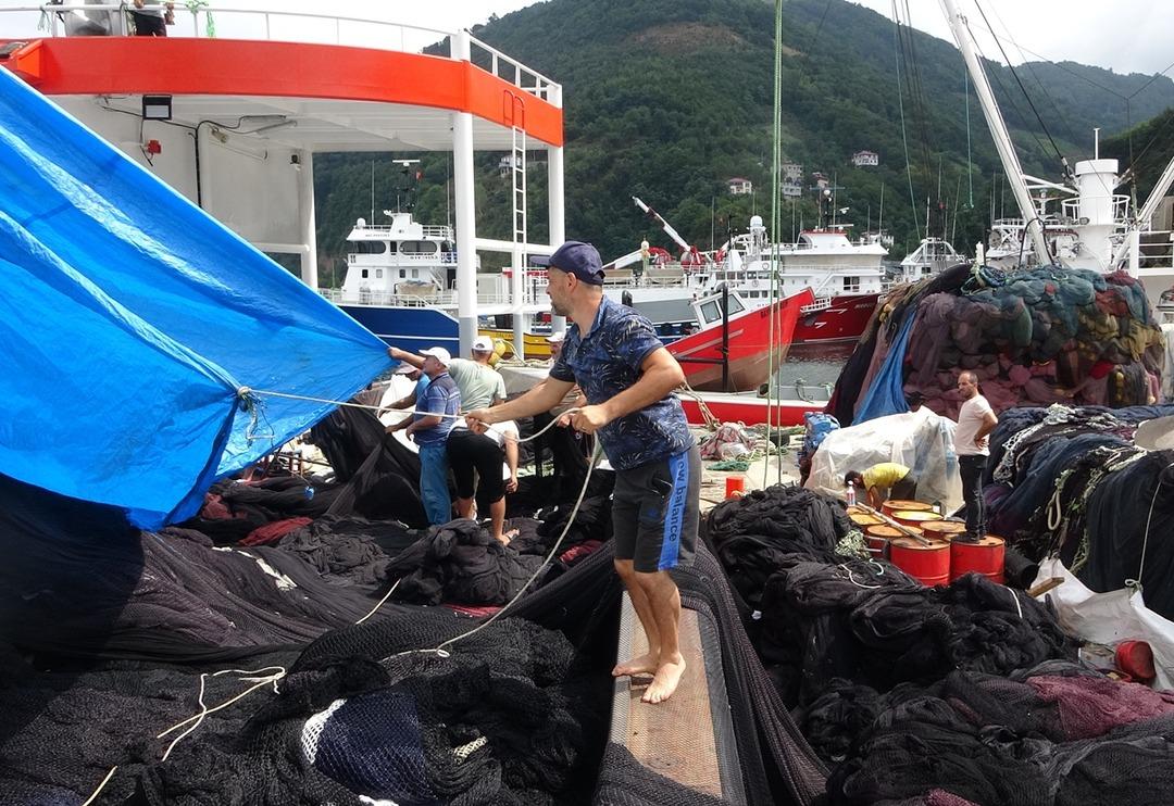 Bu gece yarısı başlıyor! Av yasağı bitiyor, tezgahlar palamut dolacak