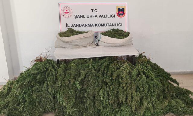 Şanlıurfa'da 23 kilogram esrar ele geçirildi