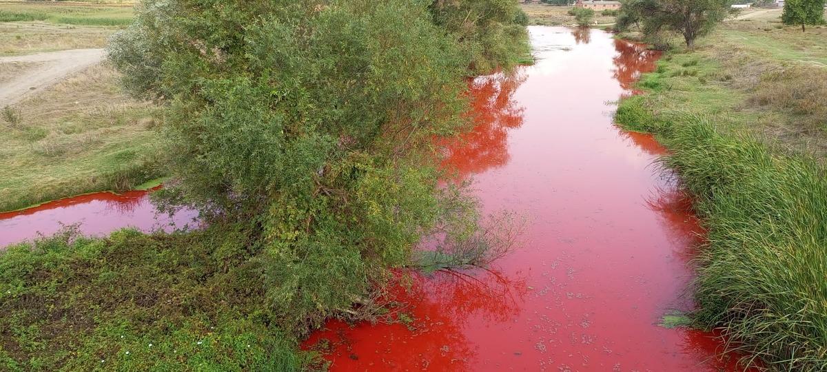 Balıkesir'deki Karap&uuml;r&ccedil;ek Deresi'ne tarım ilacı karıştığı tespit edildi