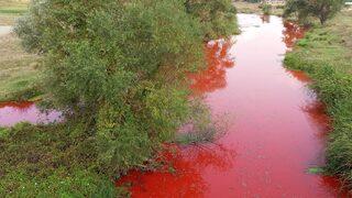 Balıkesir'deki Karapürçek Deresi'ne tarım ilacı karıştığı tespit edildi