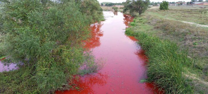 Balıkesir'deki Karapürçek Deresi'ne tarım ilacı karıştığı tespit edildi G2