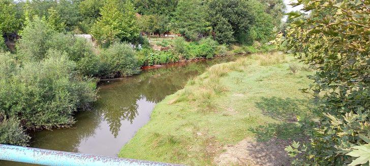 Balıkesir'deki Karapürçek Deresi'ne tarım ilacı karıştığı tespit edildi G3