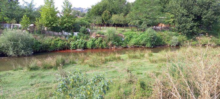 Balıkesir'deki Karapürçek Deresi'ne tarım ilacı karıştığı tespit edildi G4