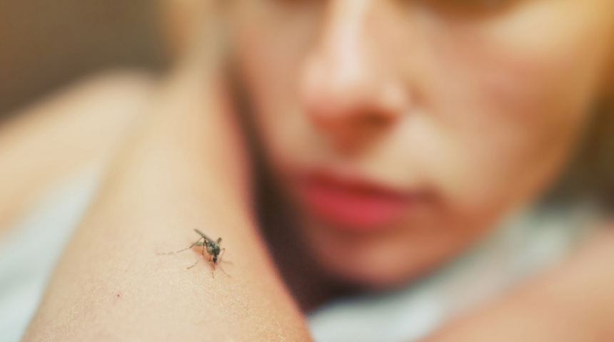 Yeni virüs alarmı! Batı Nil virüsü nedir? Nasıl bulaşır?