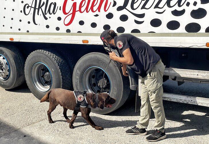 Mersin'de karkas et taşıyan kamyonda 77 kilo 200 gram esrar ele geçirildi G3