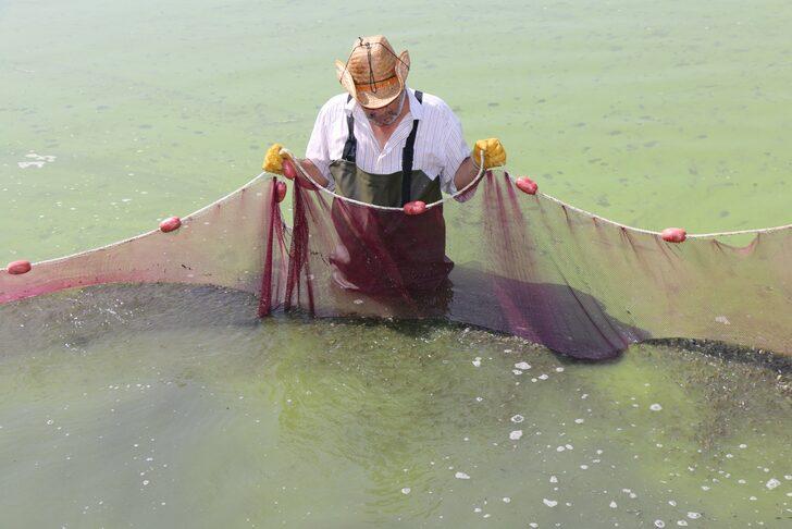 Adana'da yetiştirilen sazan yavrularının hasadı yapıldı G5