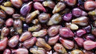 Sakın çöpe atmayın! Kanı temizliyor, kansere karşı koruyor