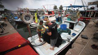Batı Karadeniz'de balıkçılar yeni sezondan umutlu