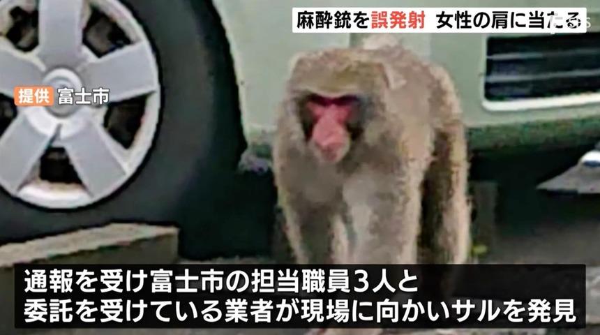 Yanlış hedefe ateşleyince olanlar oldu! Talihsiz kadın yığılıp kalınca...