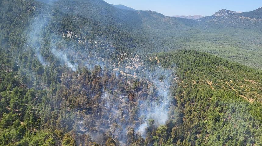 GÜNCELLEME - Antalya'da ormanlık alanda çıkan yangın kontrol altına alındı