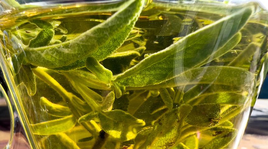 Karaciğer ve böbreği temizler, idrar söktürür, selüliti azaltır...