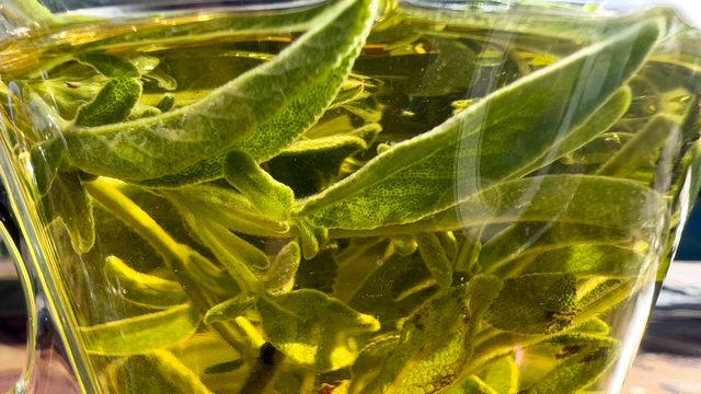 Karaciğer ve böbreği temizler, idrar söktürür, selüliti azaltır...