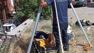 Konya'da kuyuya düşen kedi boya kutusu yardımıyla kurtarıldı