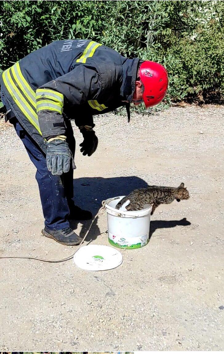 Konya'da kuyuya düşen kedi boya kutusu yardımıyla kurtarıldı G3