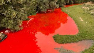 Balıkesir'deki Karapürçek Deresi'nde kirliliğe neden olan kişiye para cezası