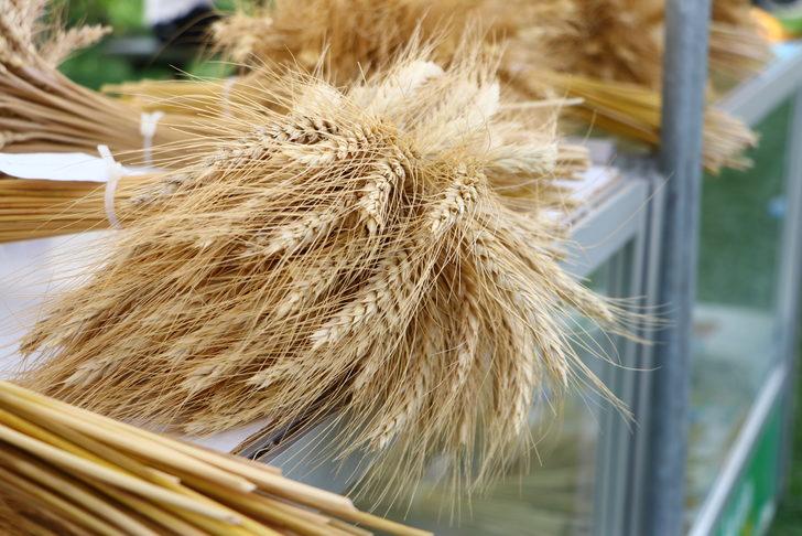 Tekirdağ'da "12. Tarım ve Teknoloji Günleri Fuarı" açıldı G5