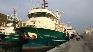 Yalova'da yeni av sezonuna girmeye hazırlanan balıkçılar törenle uğurlandı