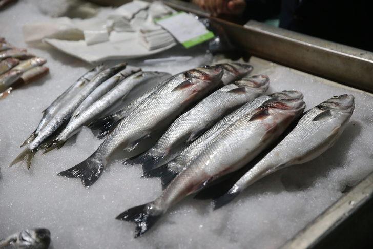 Bodrum'da av sezonuna girmeye hazırlanan balıkçılar törenle uğurlandı G3