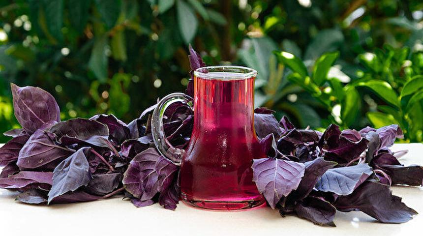 Reyhan şerbeti nasıl yapılır? Hem sağlıklı hem lezzetli reyhan şerbeti tarifi